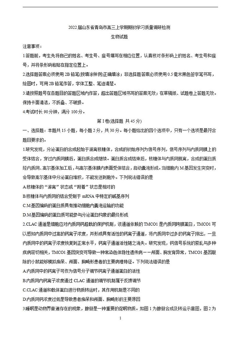 2022届山东省青岛市高三上学期期初学习质量调研检测 生物（含答案）01
