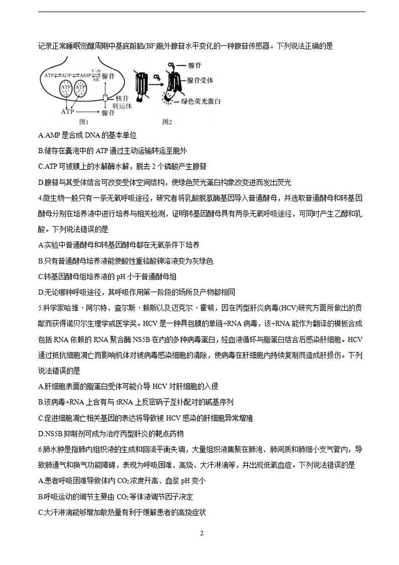 2022届山东省青岛市高三上学期期初学习质量调研检测 生物（含答案）02
