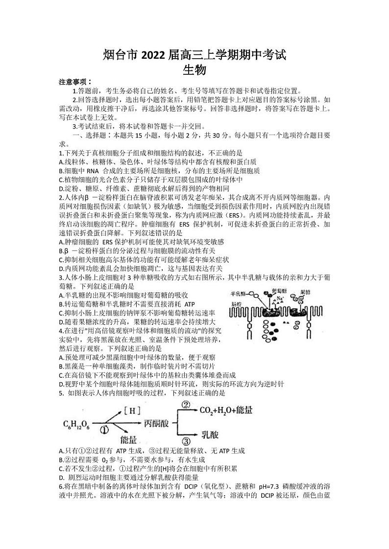 2022届山东省烟台市高三上学期期中考试生物试题 （PDF版含答案）01