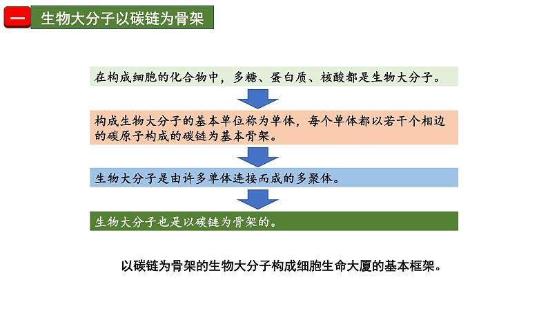 细胞中的糖类和脂质PPT课件免费下载05