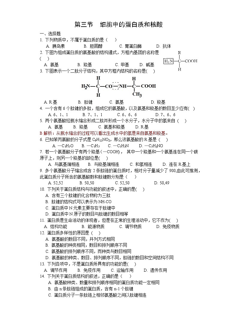 1.3 细胞中的蛋白质和核酸（练习）（原卷版）第1页