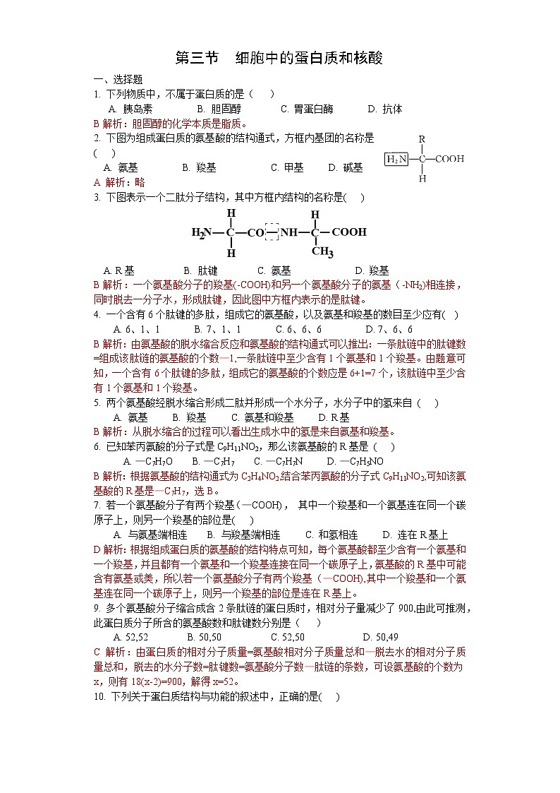1.3 细胞中的蛋白质和核酸（练习）（解析版）第1页