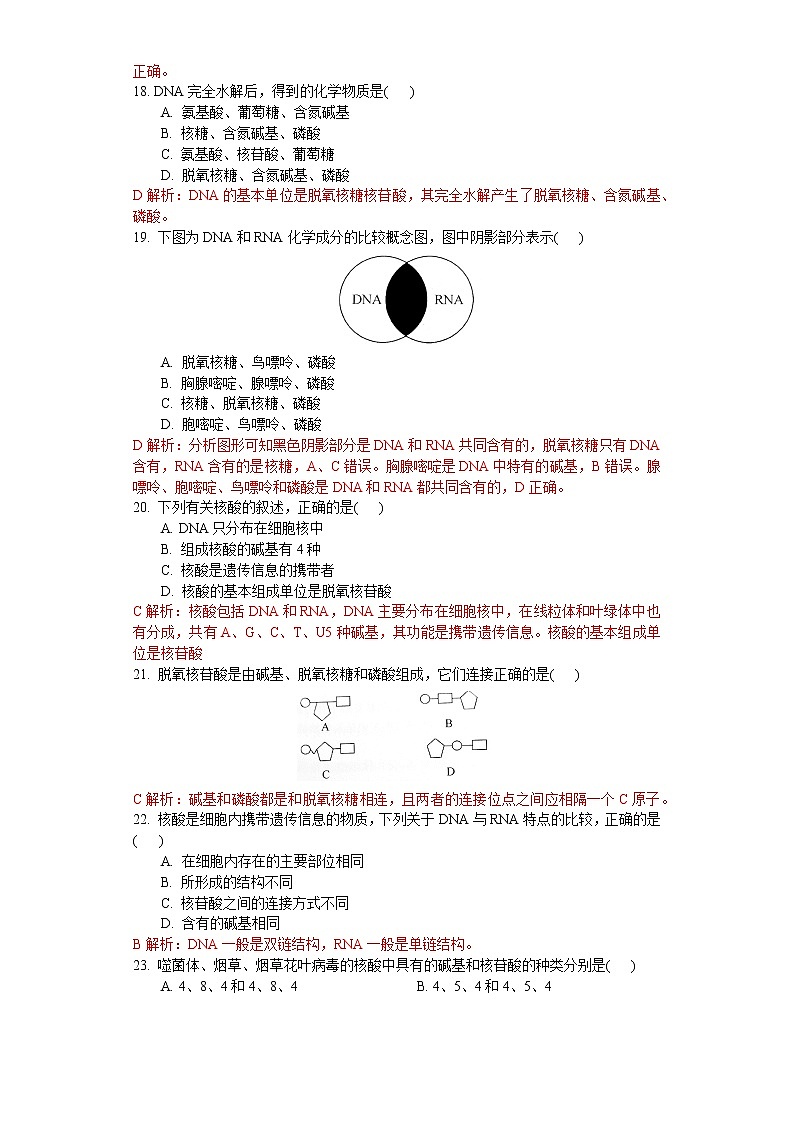 1.3 细胞中的蛋白质和核酸（练习）（解析版）第3页