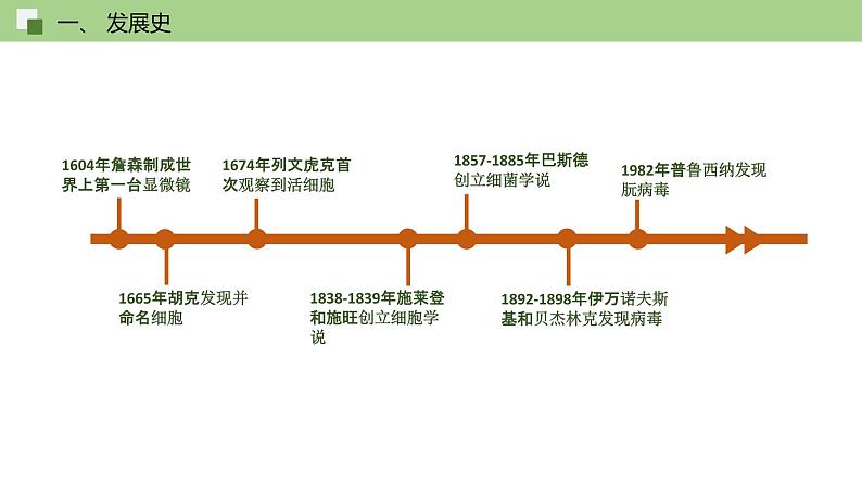 细胞学说——现代生物学的“基石”PPT课件免费下载08