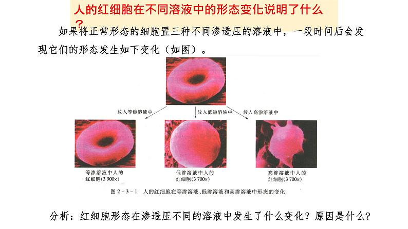 物质进出细胞的运输方式PPT课件免费下载06