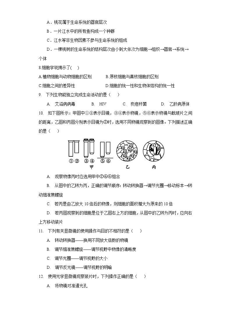 2.1 细胞学说——现代生物学的“基石”（练习）（苏教版必修1)02