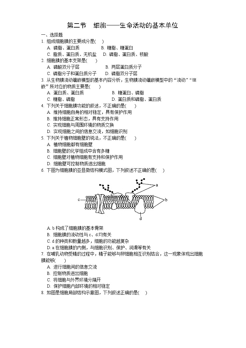 2.2 细胞——生命活动的基本单位（练习）（原卷版）第1页