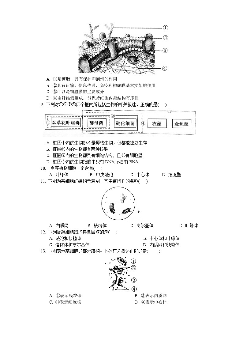 2.2 细胞——生命活动的基本单位（练习）（原卷版）第2页