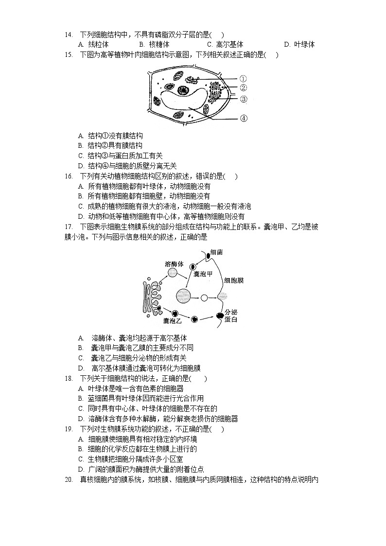 2.2 细胞——生命活动的基本单位（练习）（原卷版）第3页