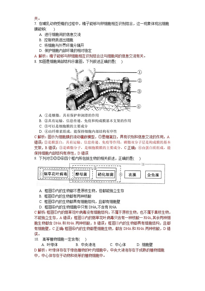 2.2 细胞——生命活动的基本单位（练习）（解析版）第2页