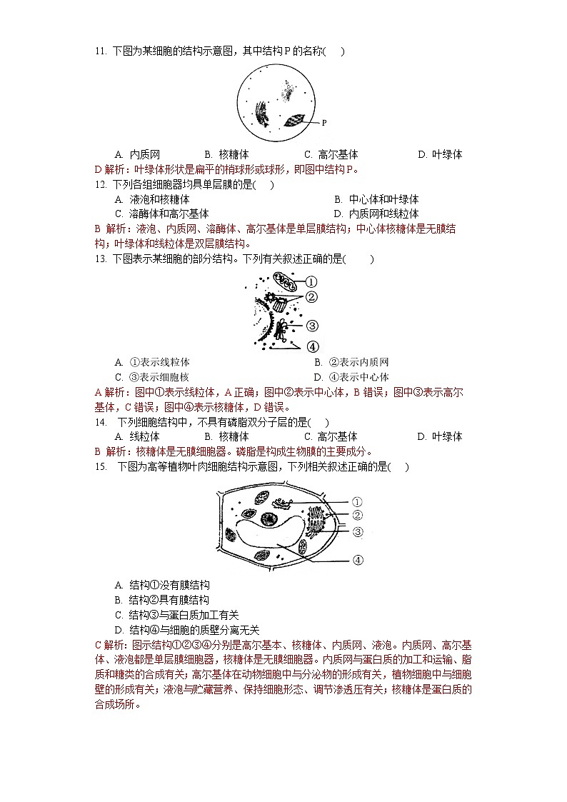 2.2 细胞——生命活动的基本单位（练习）（解析版）第3页