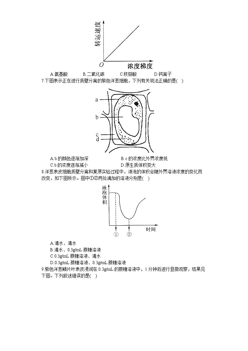 2.3 物质进出细胞的方式（练习）（苏教版必修1)02