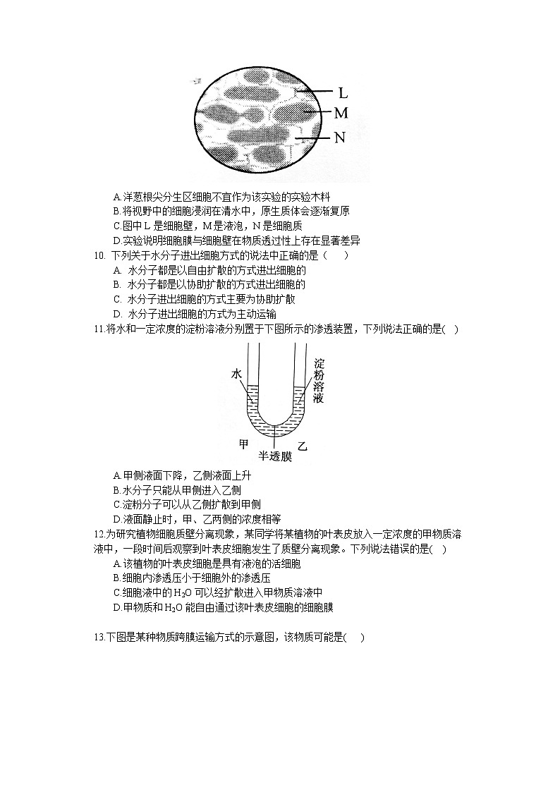 2.3 物质进出细胞的方式（练习）（苏教版必修1)03
