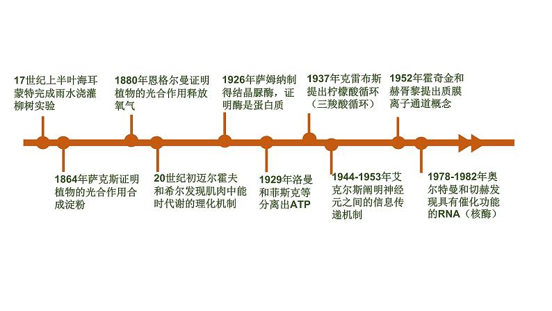 生命活动需要酶和能源物质PPT课件免费下载04