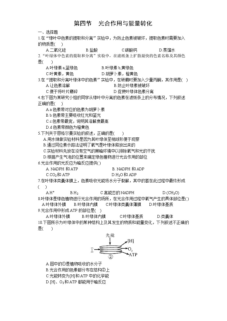 3.2 光合作用——光能的捕获和转换（练习）（苏教版必修1)01