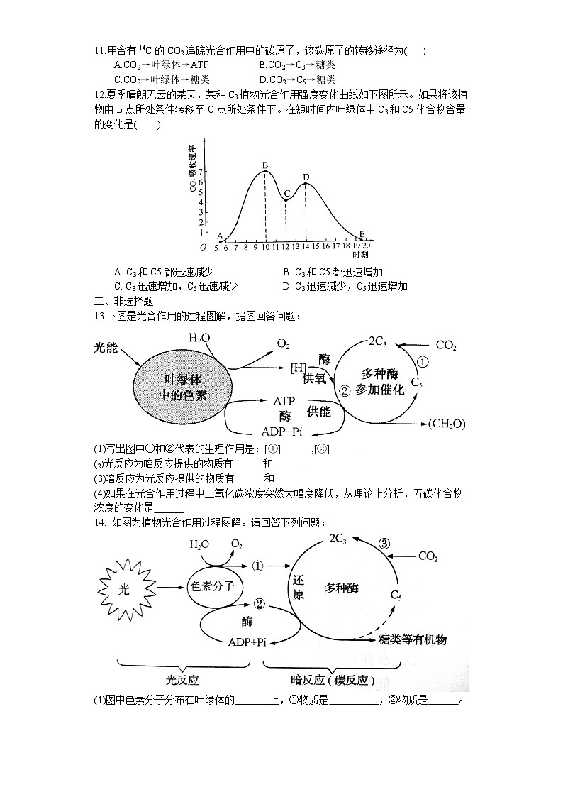 3.2 光合作用——光能的捕获和转换（练习）（苏教版必修1)02