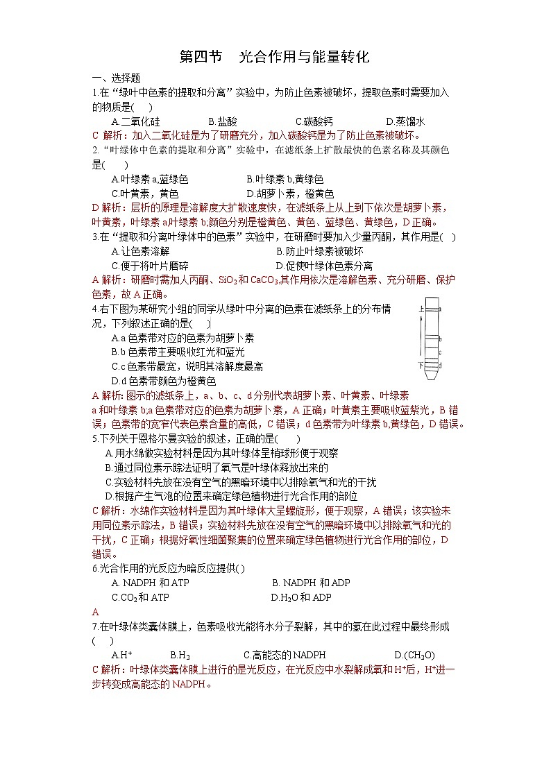 3.2 光合作用——光能的捕获和转换（练习）（苏教版必修1)01