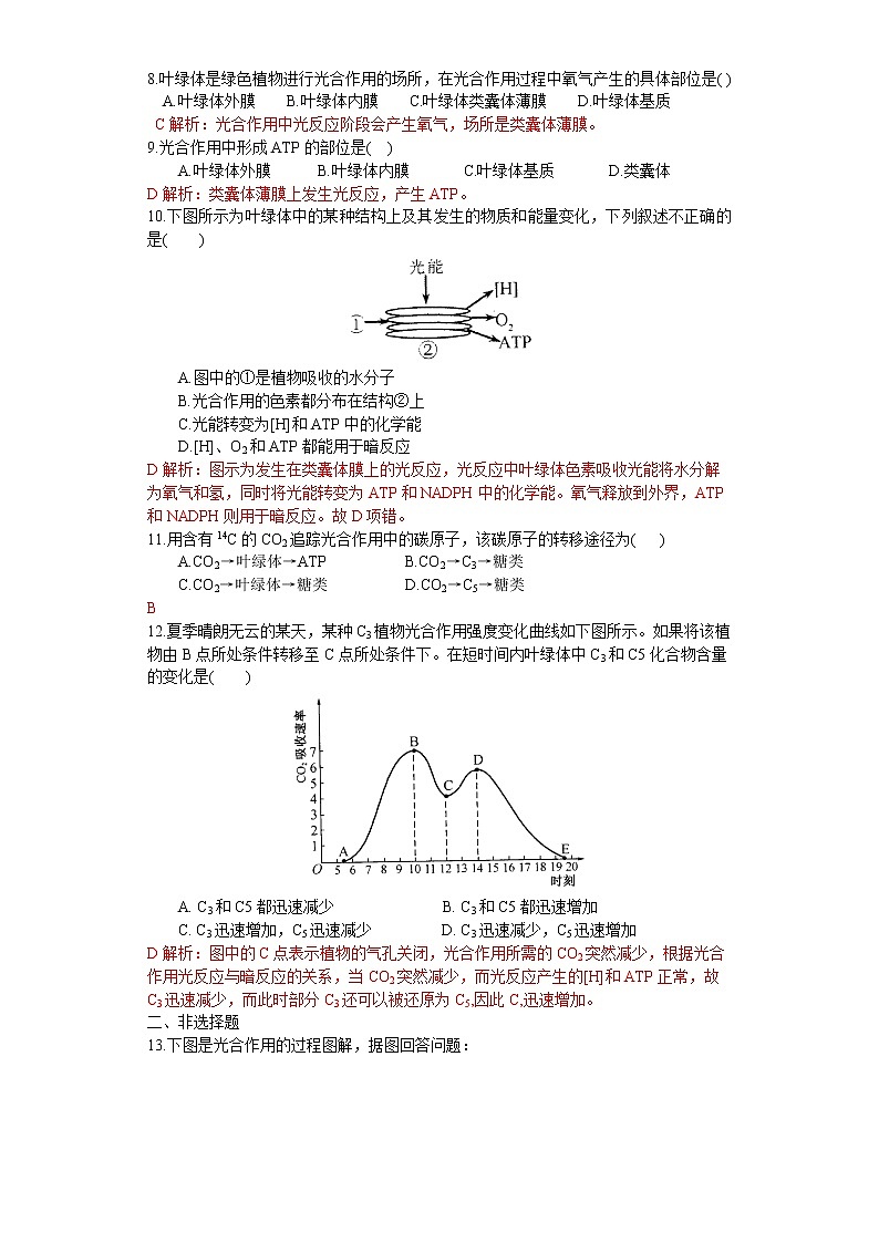 3.2 光合作用——光能的捕获和转换（练习）（苏教版必修1)02