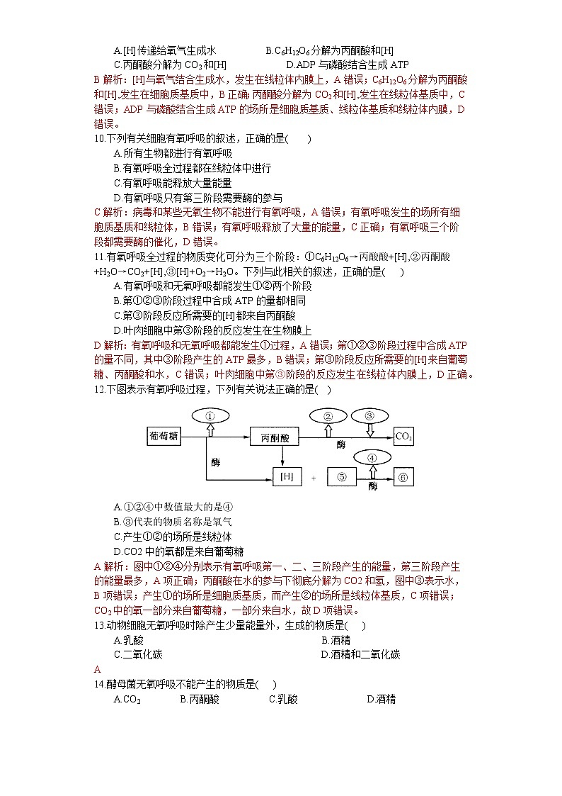 3.3 细胞呼吸——能量的转化和利用（练习）（解析版）第2页