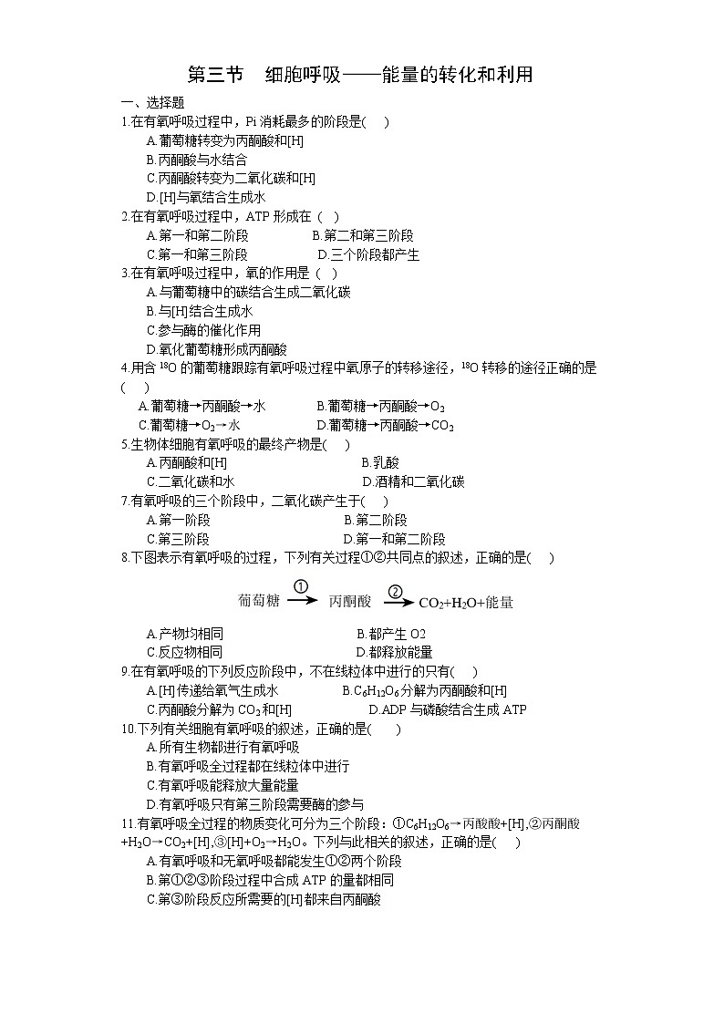3.3 细胞呼吸——能量的转化和利用（练习）（原卷版）第1页