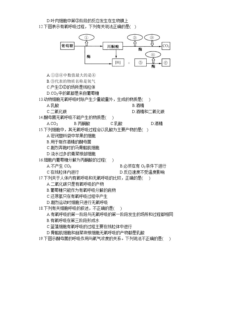 3.3 细胞呼吸——能量的转化和利用（练习）（苏教版必修1)02