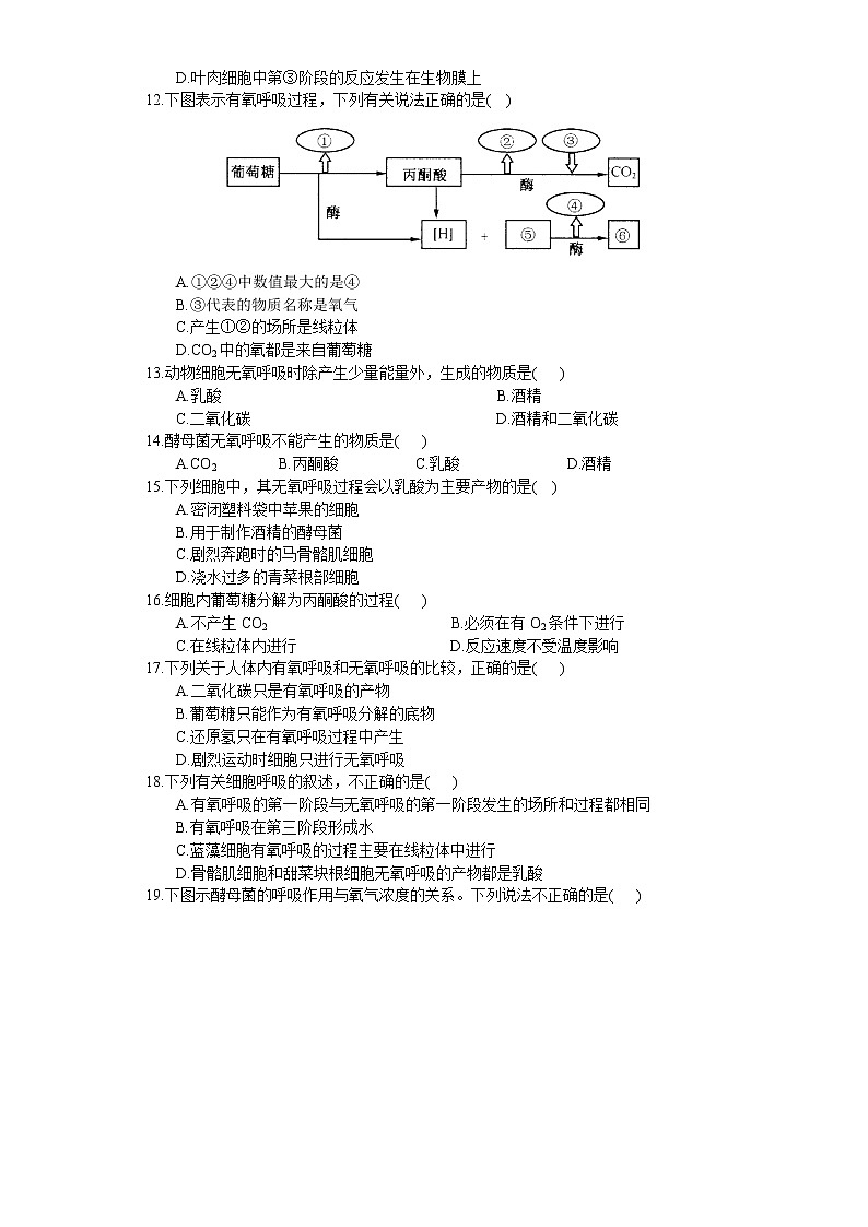 3.3 细胞呼吸——能量的转化和利用（练习）（原卷版）第2页