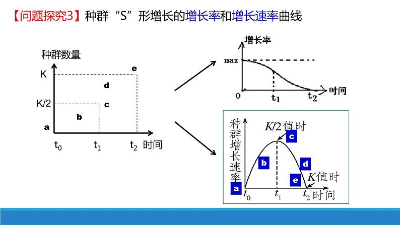 1.2 不同条件下种群的增长方式不同（第3课时）优质课件（浙科版2019选择性必修2）08