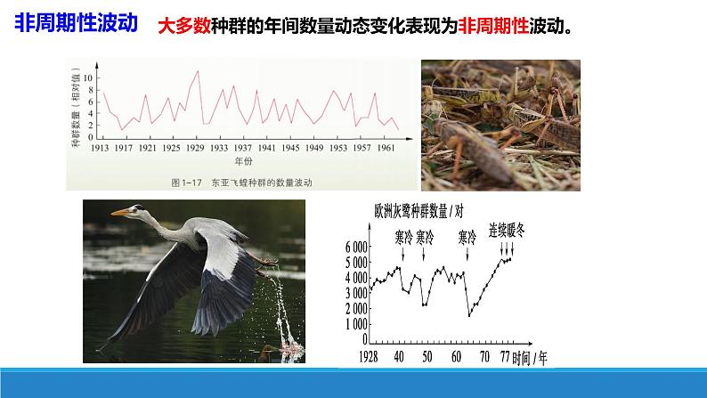 生态因素影响种群数量波动PPT课件免费下载08