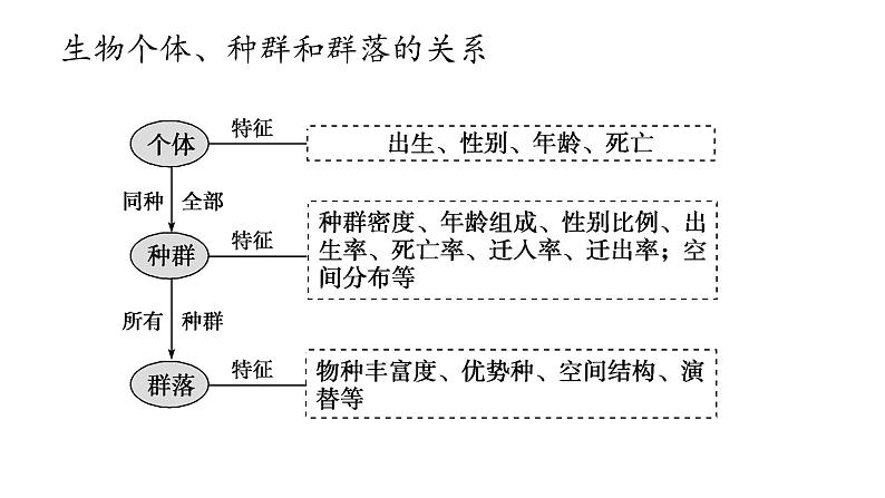 不同种群组成群落PPT课件免费下载01