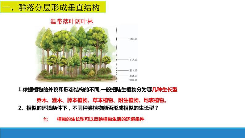 2.2 群落具有垂直、水平和时间结构优质课件（浙科版2019选择性必修2）第4页