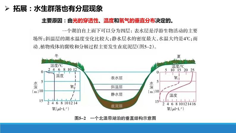 2.2 群落具有垂直、水平和时间结构优质课件（浙科版2019选择性必修2）第8页