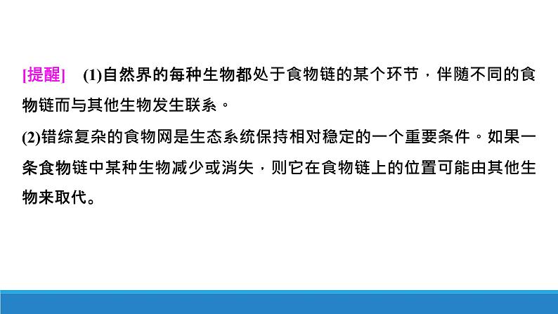 3.2 食物链和食物网形成生态系统的营养结构优质课件（浙科版2019选择性必修2）第5页