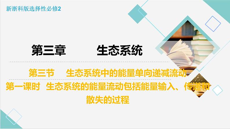 3.3 生态系统中的能量单向递减流动（第一课时）优质课件（浙科版2019选择性必修2）02