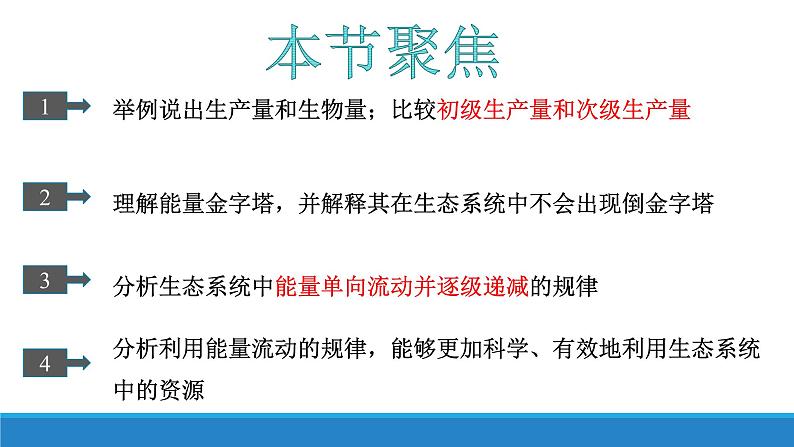 3.3 生态系统中的能量单向递减流动（第一课时）优质课件（浙科版2019选择性必修2）03