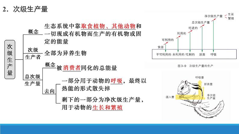 3.3 生态系统中的能量单向递减流动（第一课时）优质课件（浙科版2019选择性必修2）06