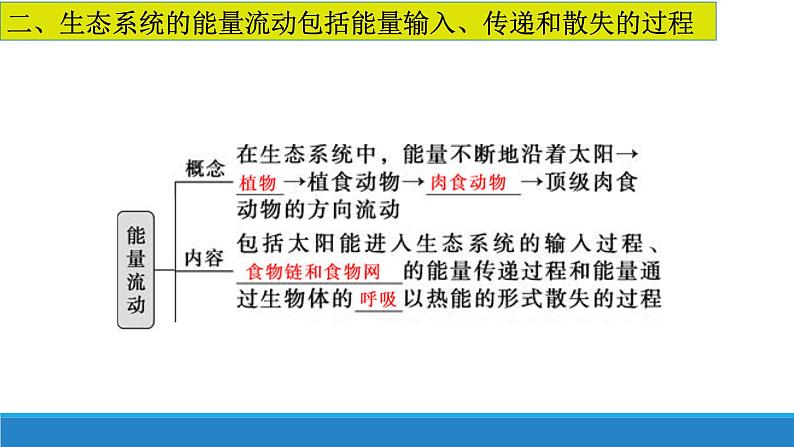 3.3 生态系统中的能量单向递减流动（第一课时）优质课件（浙科版2019选择性必修2）07