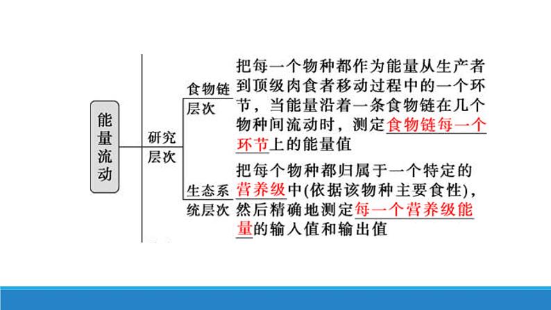 3.3 生态系统中的能量单向递减流动（第一课时）优质课件（浙科版2019选择性必修2）08