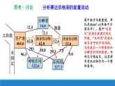 生态系统中的能量单向递减流动PPT课件免费下载