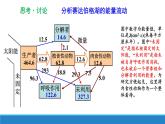 生态系统中的能量单向递减流动PPT课件免费下载