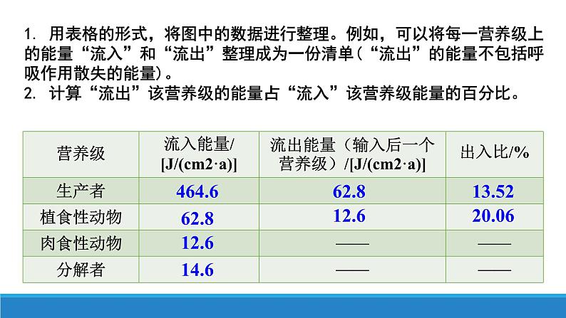 3.3 生态系统中的能量单向递减流动（第二课时）优质课件（浙科版2019选择性必修2）第4页