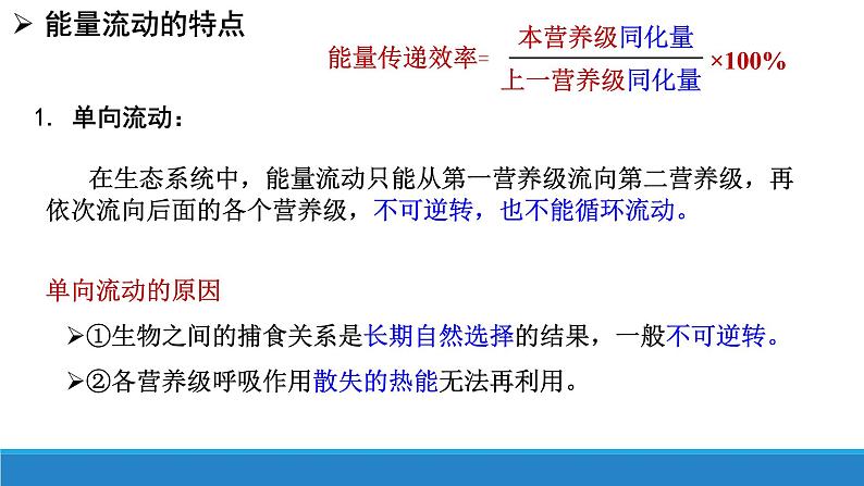 3.3 生态系统中的能量单向递减流动（第二课时）优质课件（浙科版2019选择性必修2）第6页