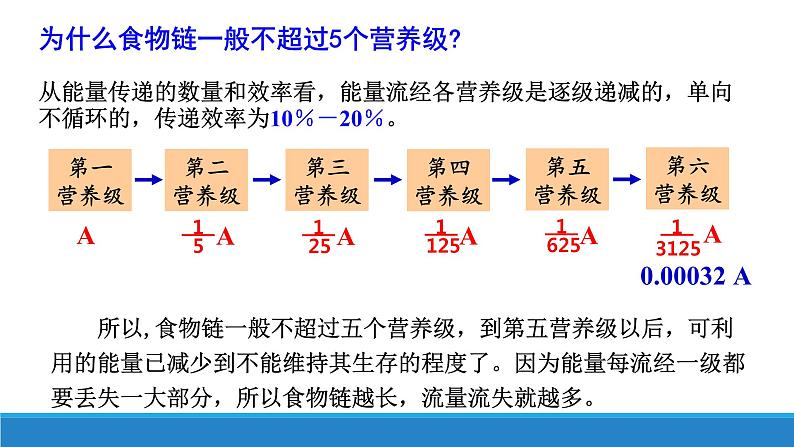 3.3 生态系统中的能量单向递减流动（第二课时）优质课件（浙科版2019选择性必修2）第8页