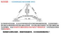 生态系统中的物质能被循环利用PPT课件免费下载