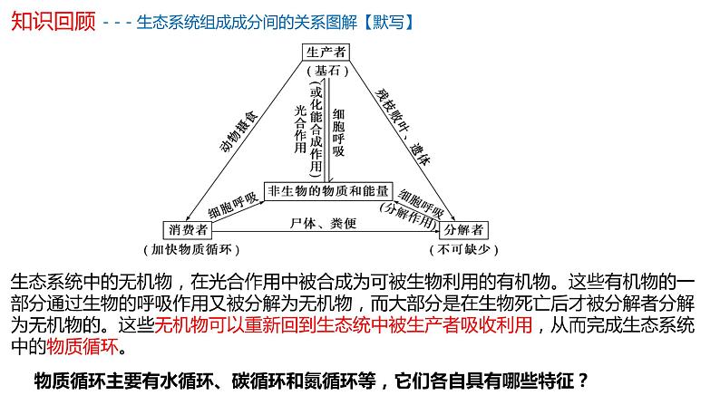 生态系统中的物质能被循环利用PPT课件免费下载01