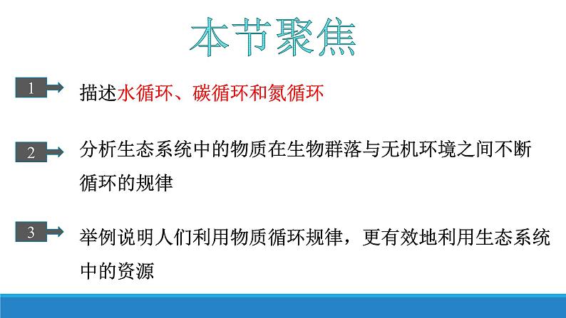 生态系统中的物质能被循环利用PPT课件免费下载03