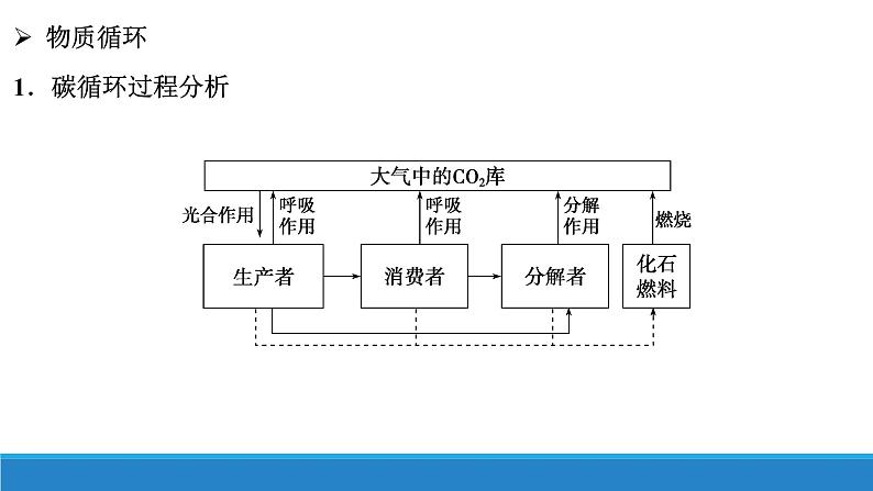 生态系统中的物质能被循环利用PPT课件免费下载07