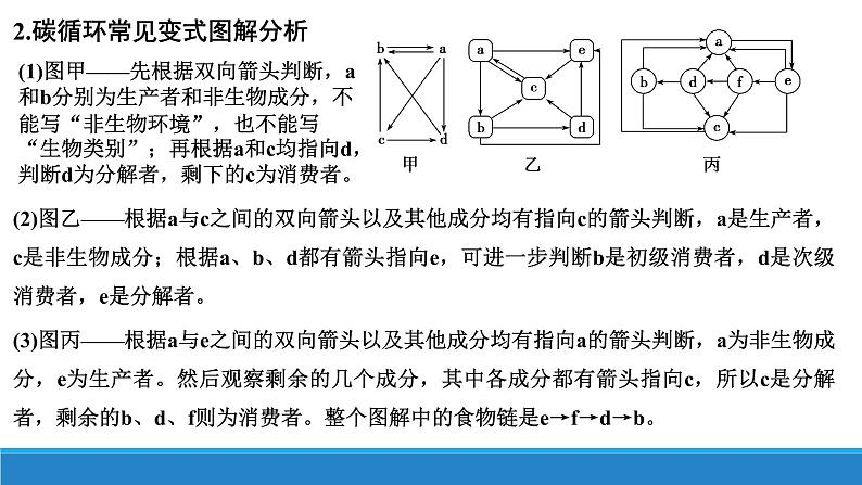 生态系统中的物质能被循环利用PPT课件免费下载08