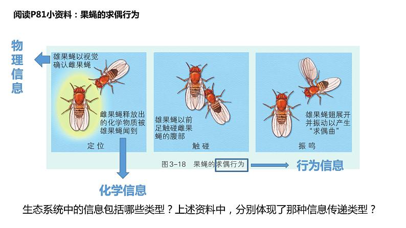 3.5 生态系统中存在信息传递优质课件（浙科版2019选择性必修2）第4页