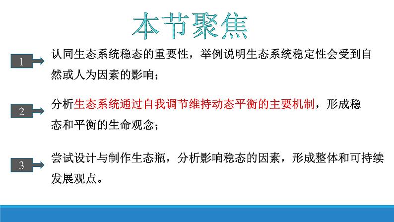 3.6 生态系统通过自我调节维持稳态优质课件（浙科版2019选择性必修2）第3页