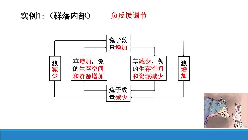 3.6 生态系统通过自我调节维持稳态优质课件（浙科版2019选择性必修2）第6页